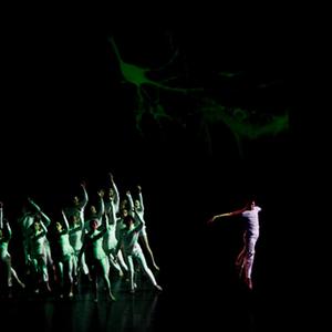 Quantum Leap in action. Photo: Lorna Sim