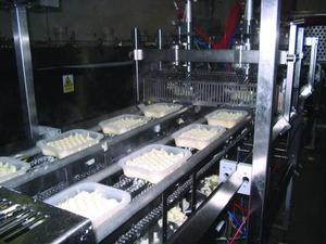 Riggs Autopack&rsquo;s single head depositor for hot mashed potato.