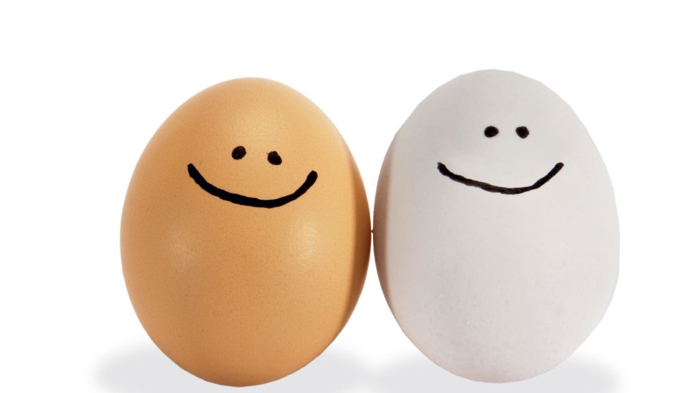 Why You Need to Eat More Eggs Bicycling Australia