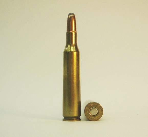 .257 Roberts Cartridge