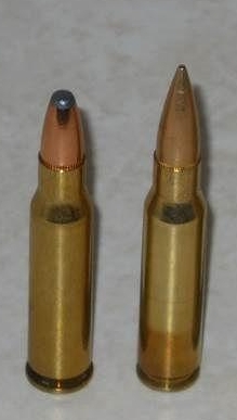 .307 Winchester (L) and .308 Wonchester side by side