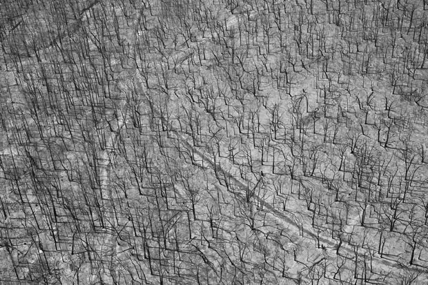 Eleven forty John Gollings Untitled