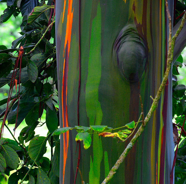 12-9_hidden_roadside_treasures_1BFDBDB0-D606-11E5-9C6206012E62CCED1