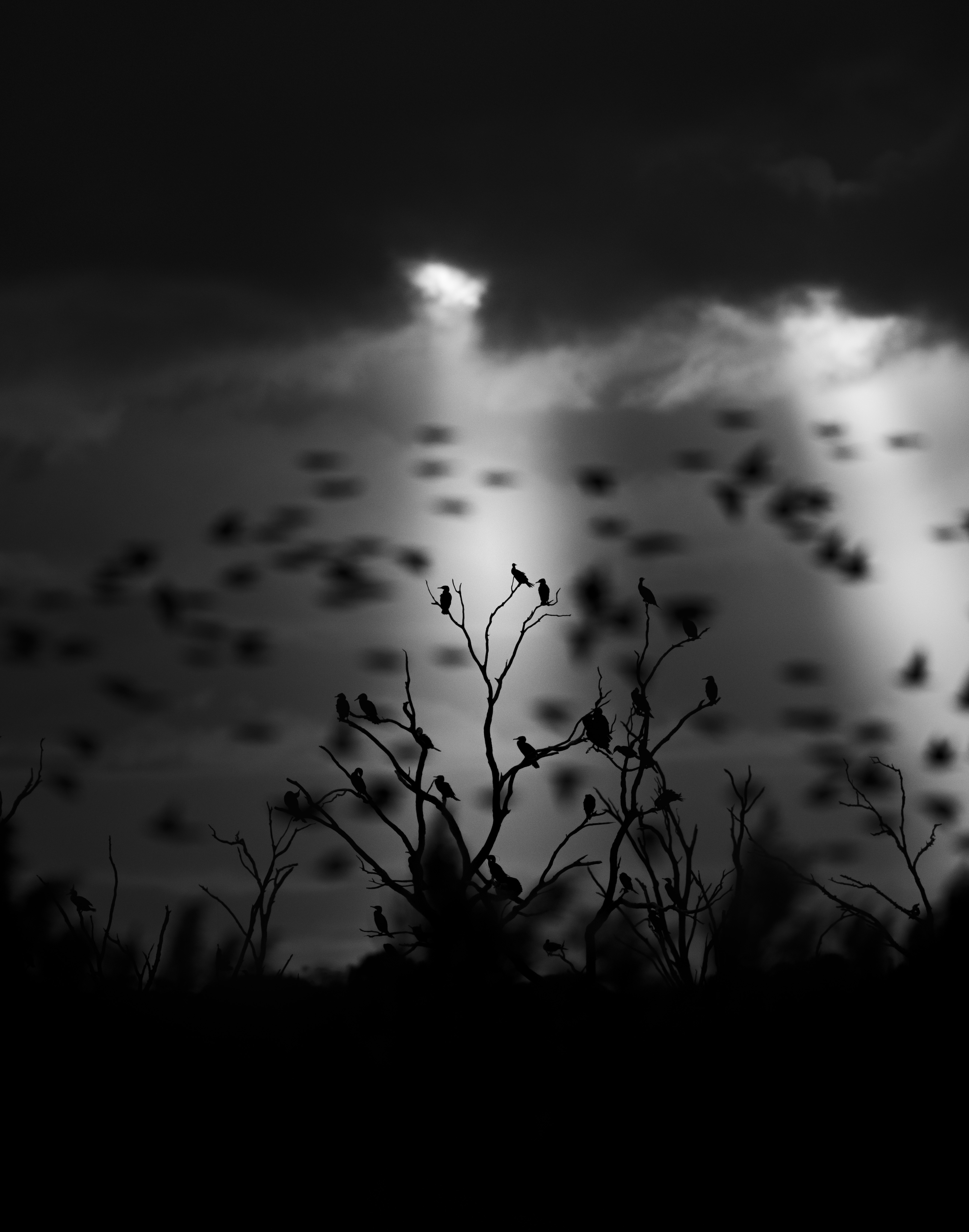 The Spot Light by Lasitha Liyana Patabendi