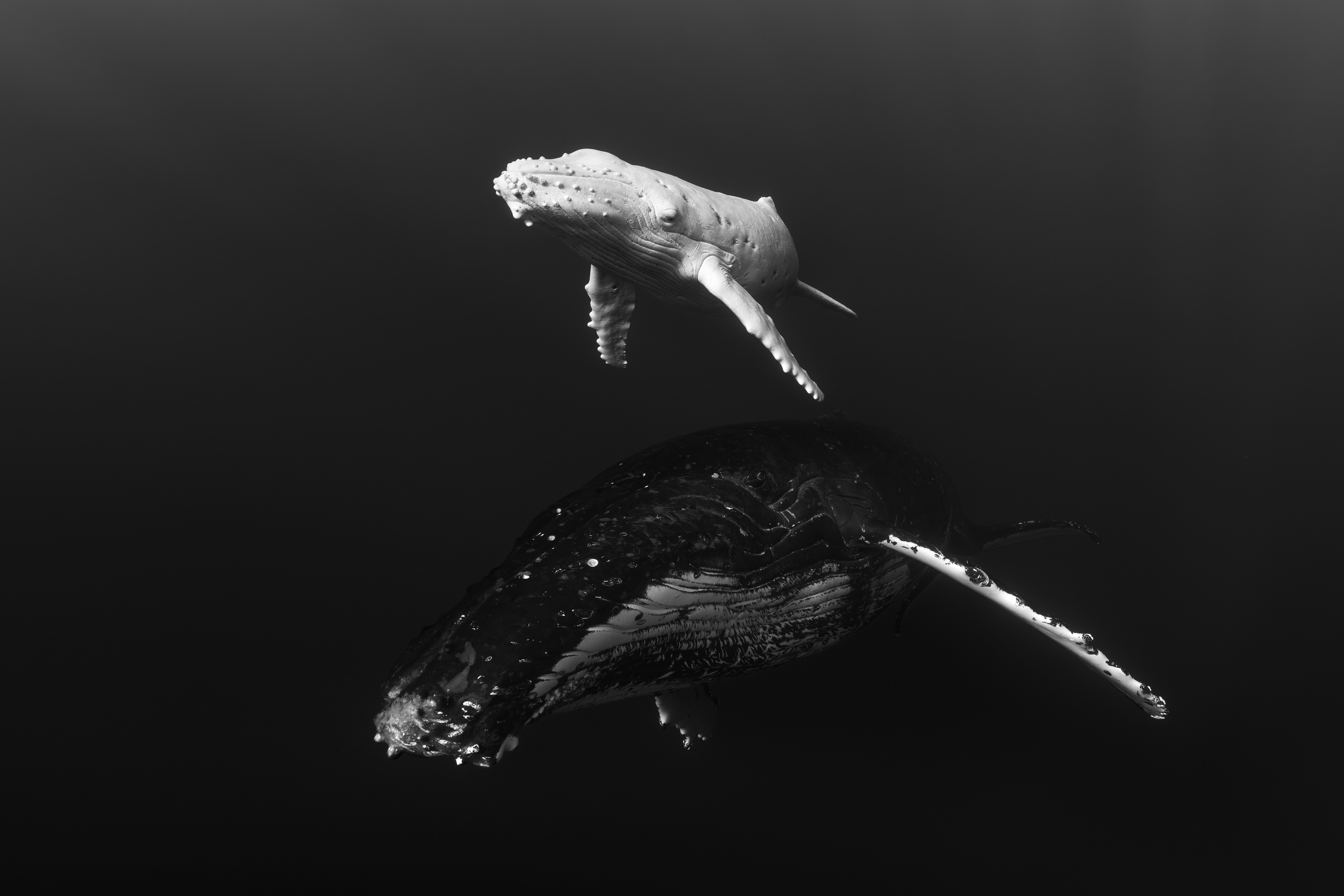 Hinehina by Claudio Moreno Madrid