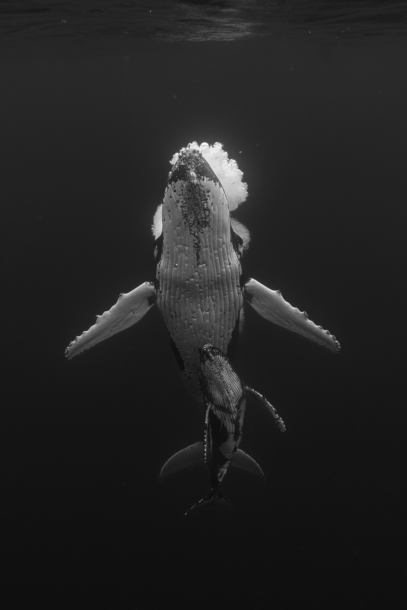 A Breath Together by Gabrielle Lui