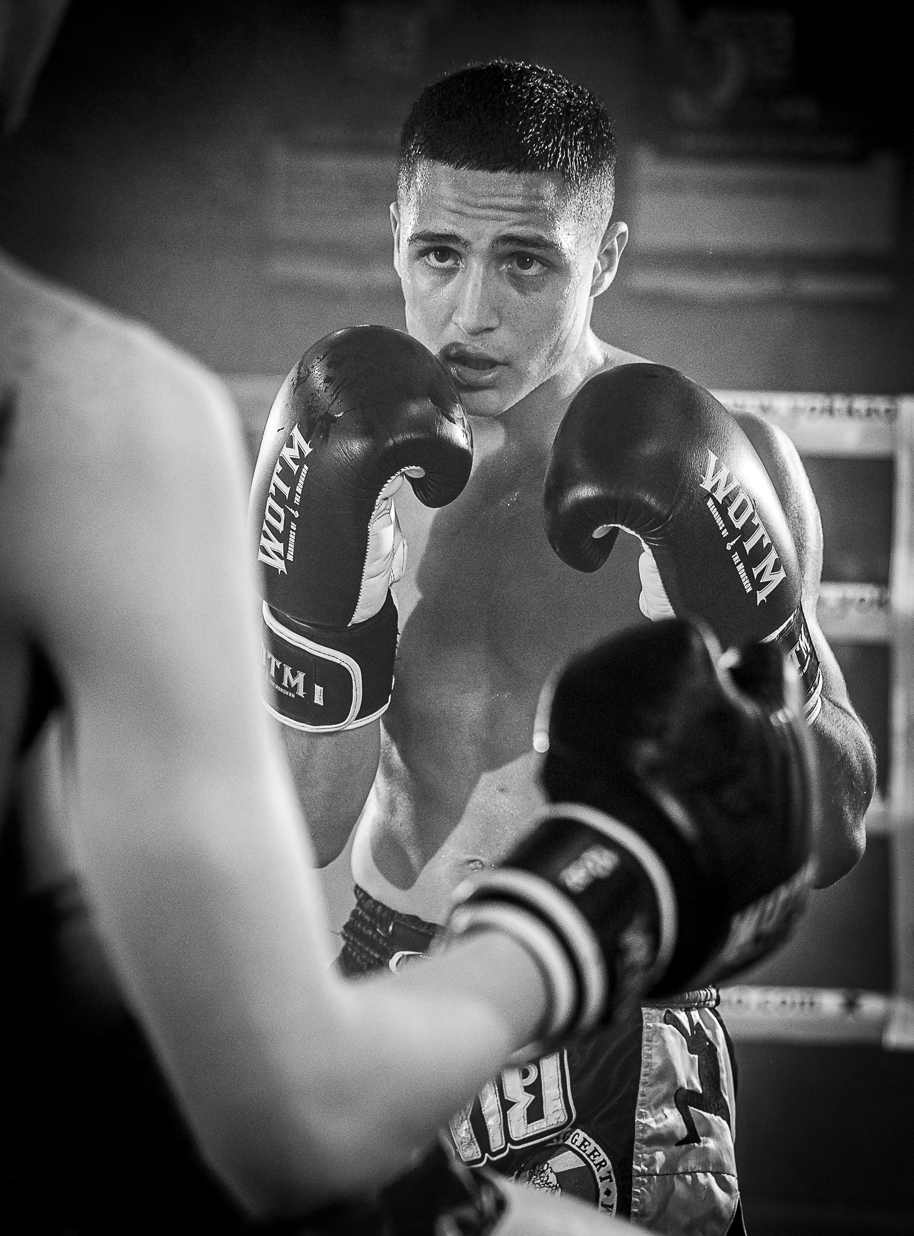 The Fighter by Nancy Liao