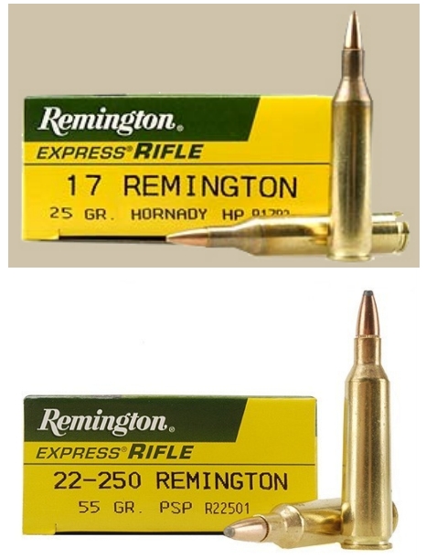 17 remington rifle for sale