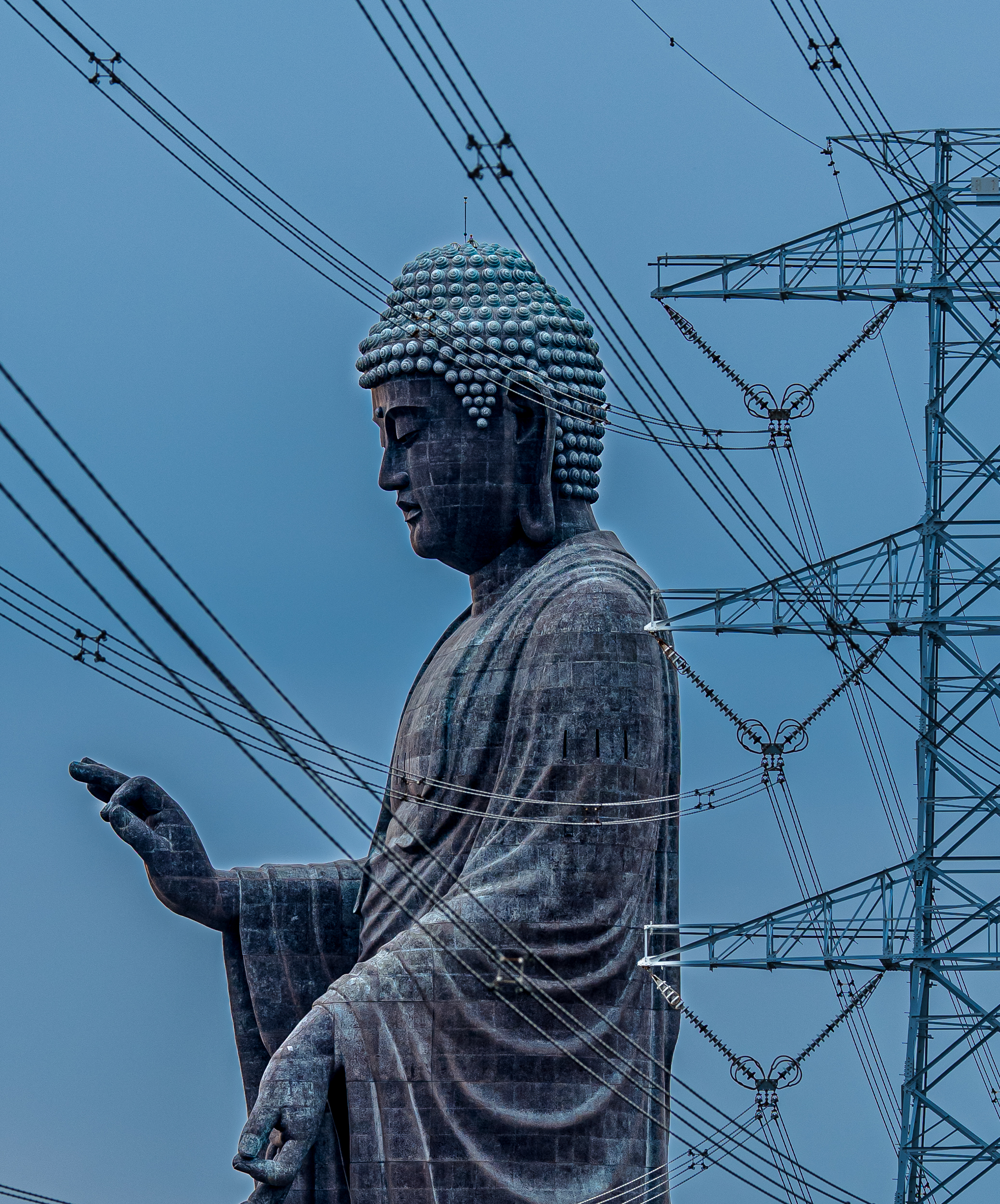 Dallian Macadam, 'The Puppeteer' – Runner-up, Landscape & Environment