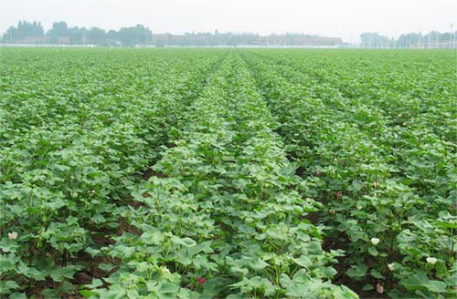 201312260948473048111