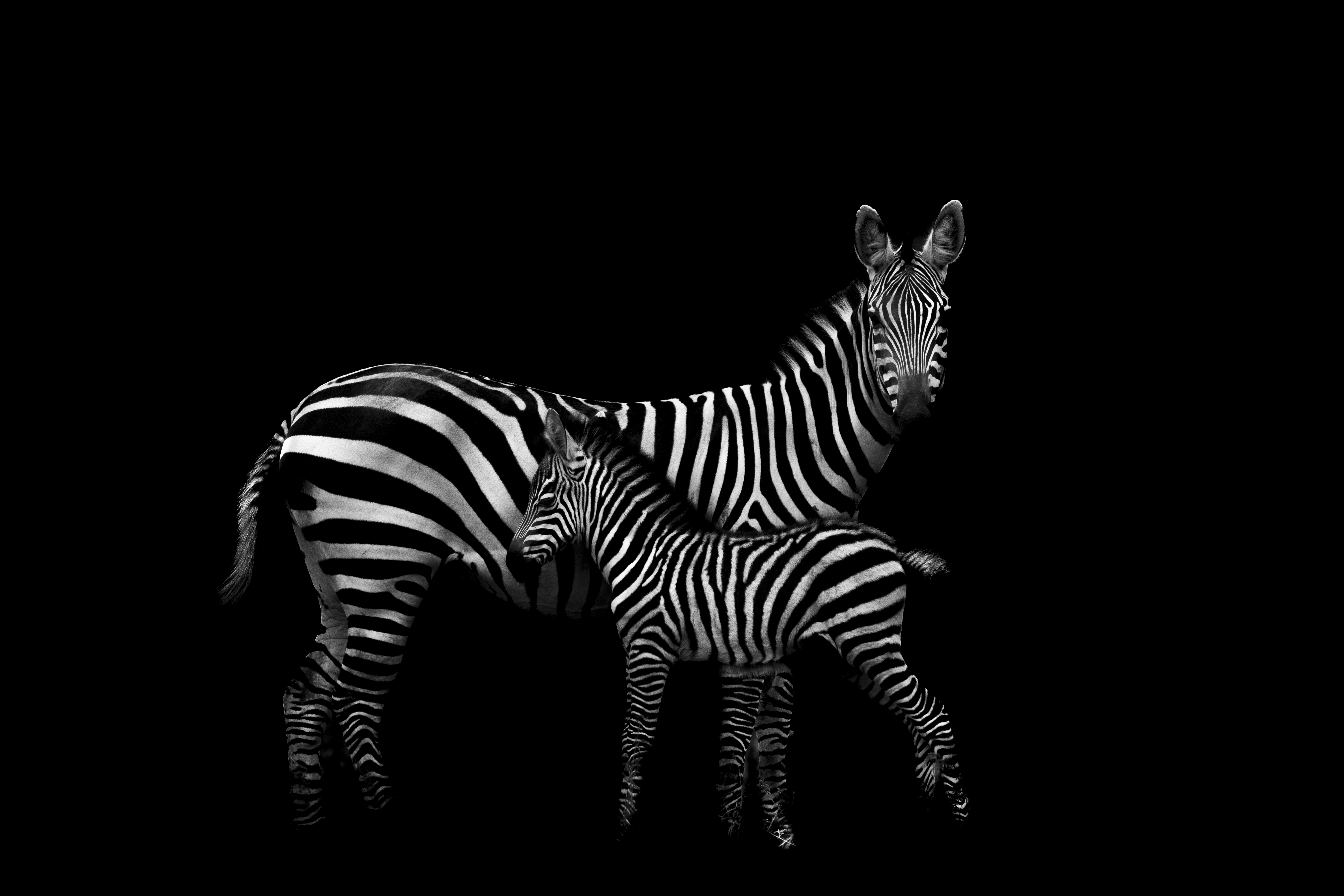 A Mother's Night Watch by Neil Kendall