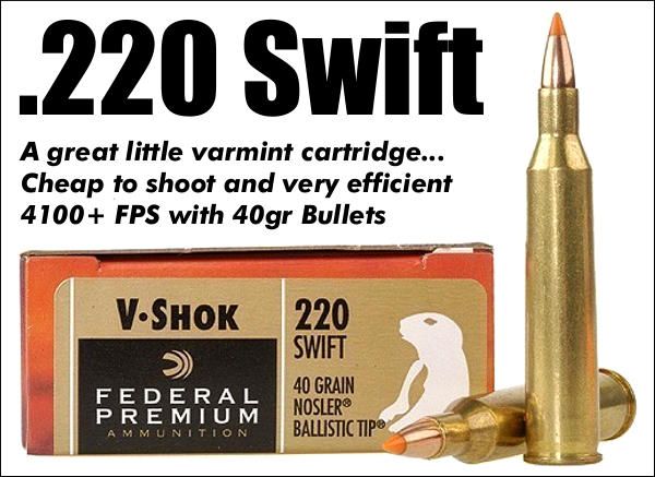 The .220 Swift in one of the available factory loads.