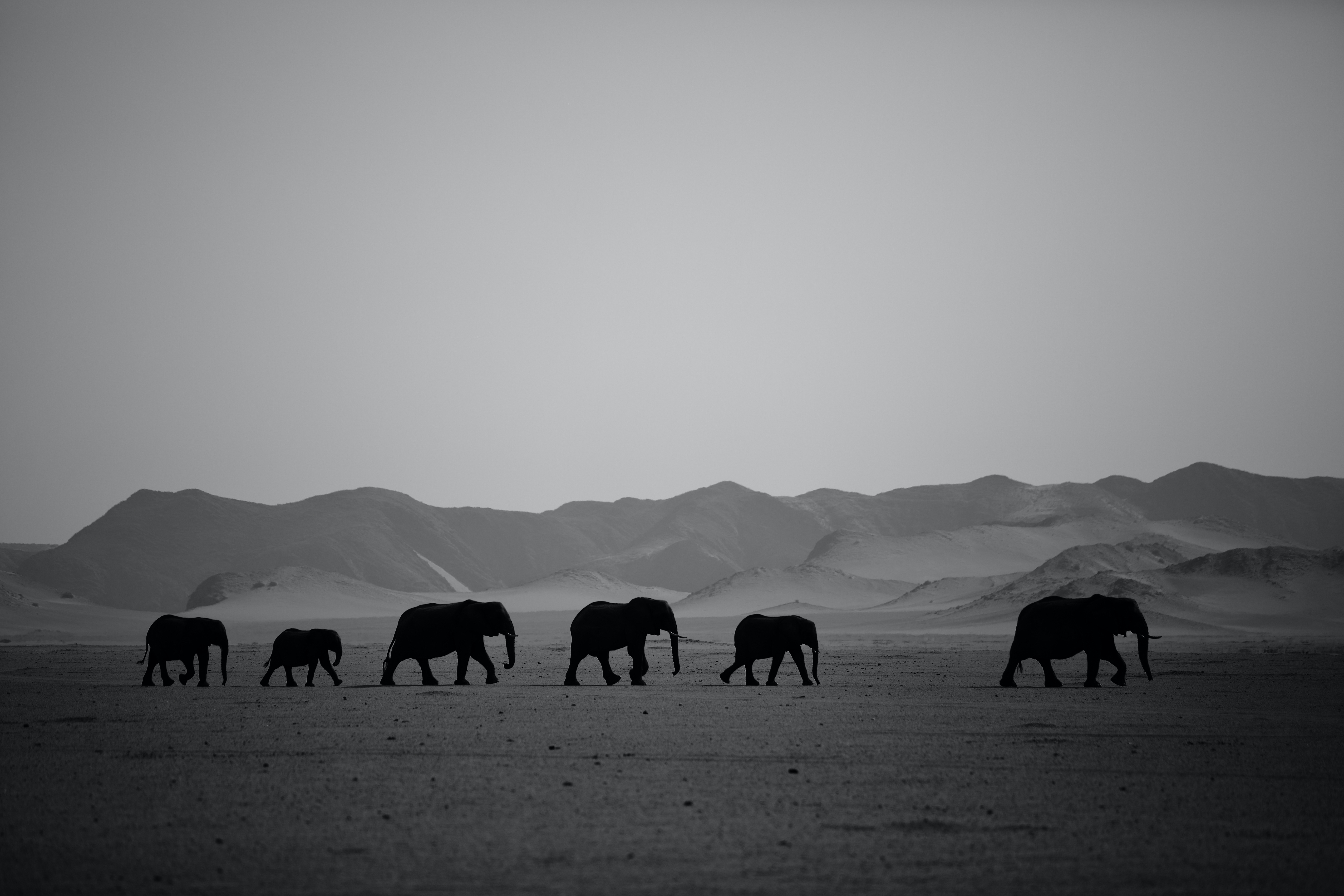 Wisdom and Trust by Hayden Turner