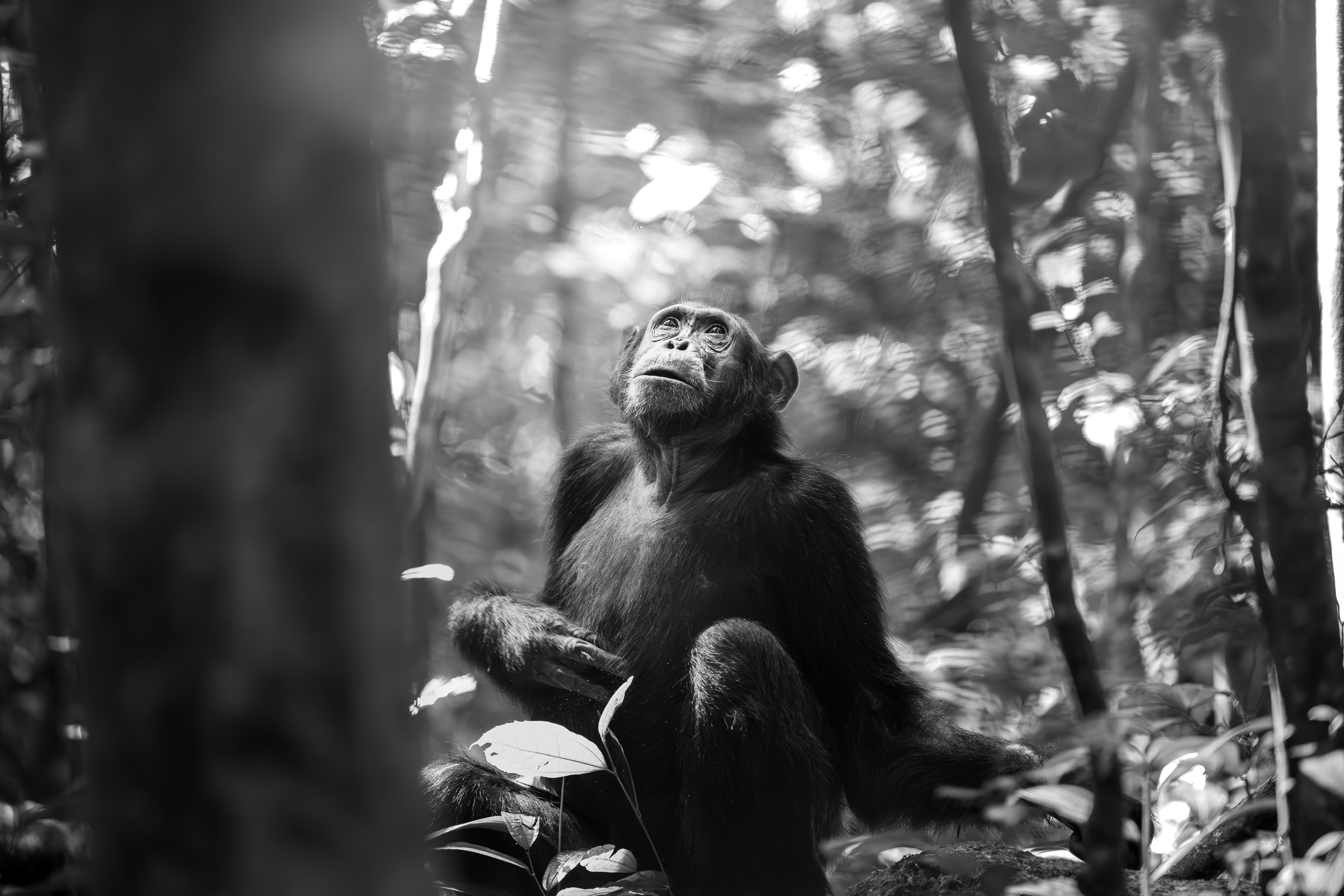 A Moment of Reflection by Nina Bowles