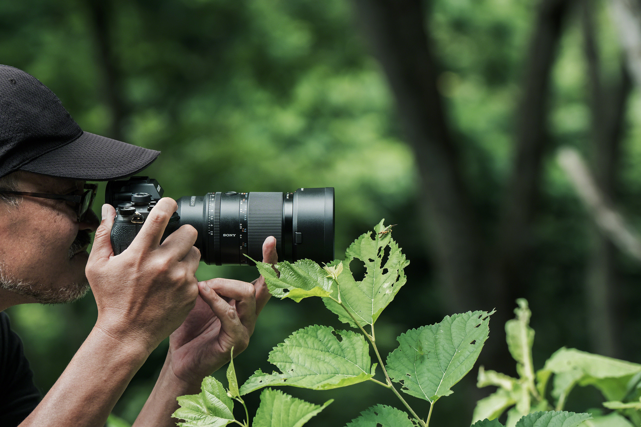 Image: Sony/supplied