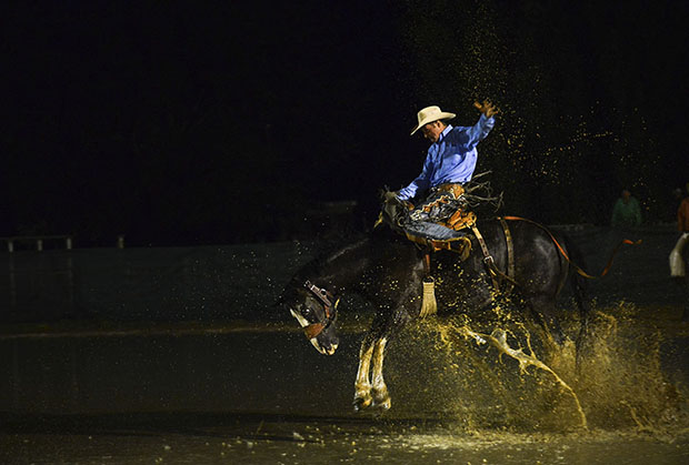 'Bucking Bronco,' by Judy Goggin.