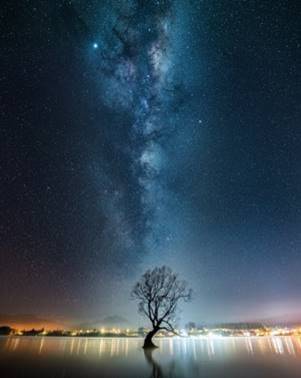 © , by Douglas Thorne. Milky Way over the Wanaka Tree. 