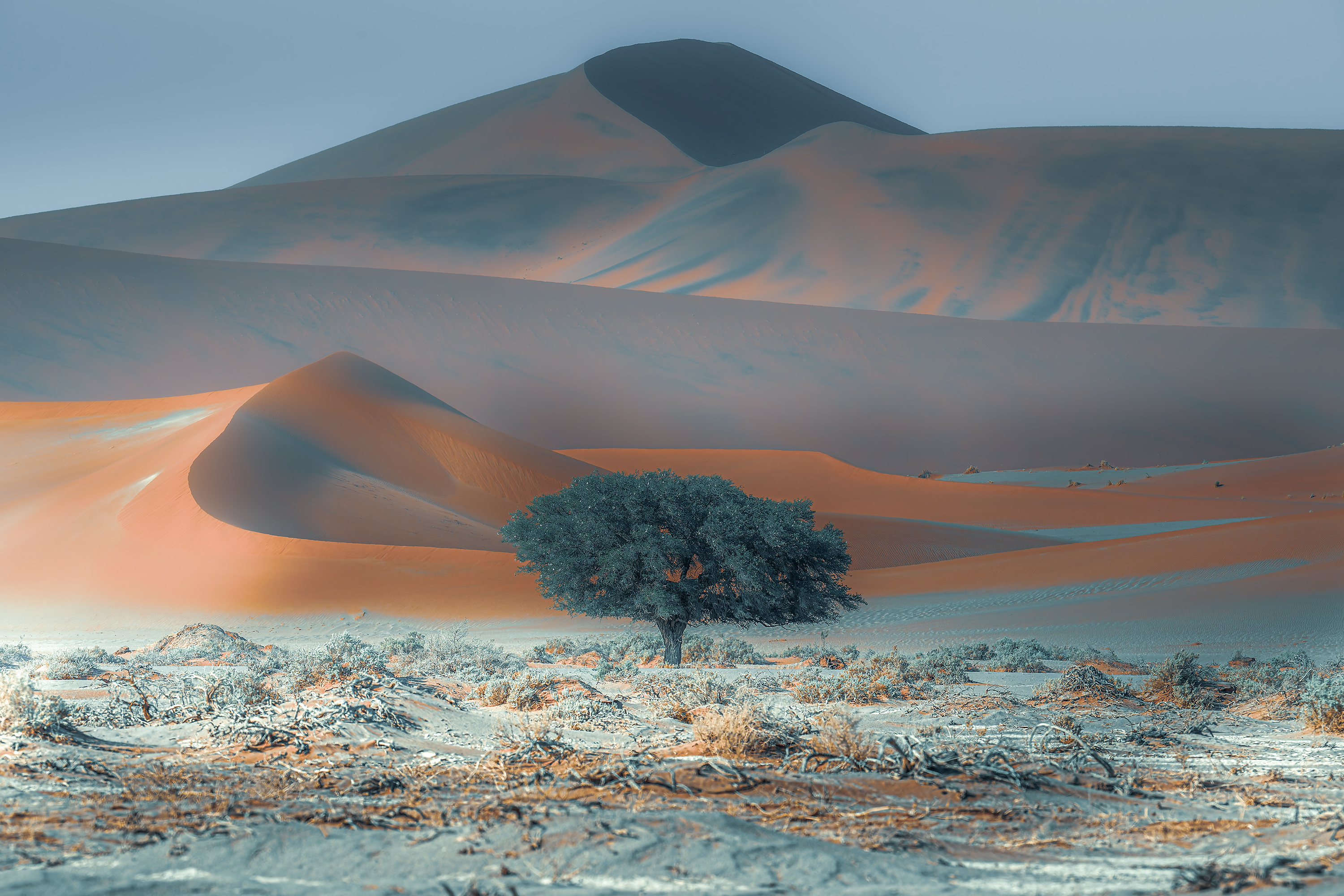 CEO Choice: Colours of the Sossusvlei Desert by Sheila Peake