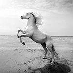 Claire Droppert