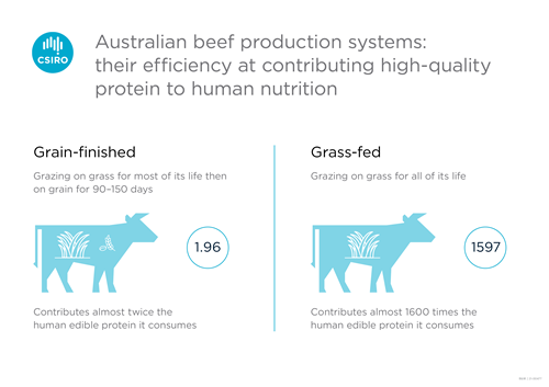 In an Australian first, the national science agency CSIRO has measured the 'net protein contribution' of beef to human nutrition. It means the quality and quantity of protein created by cattle can be measured in comparison to the protein they eat.