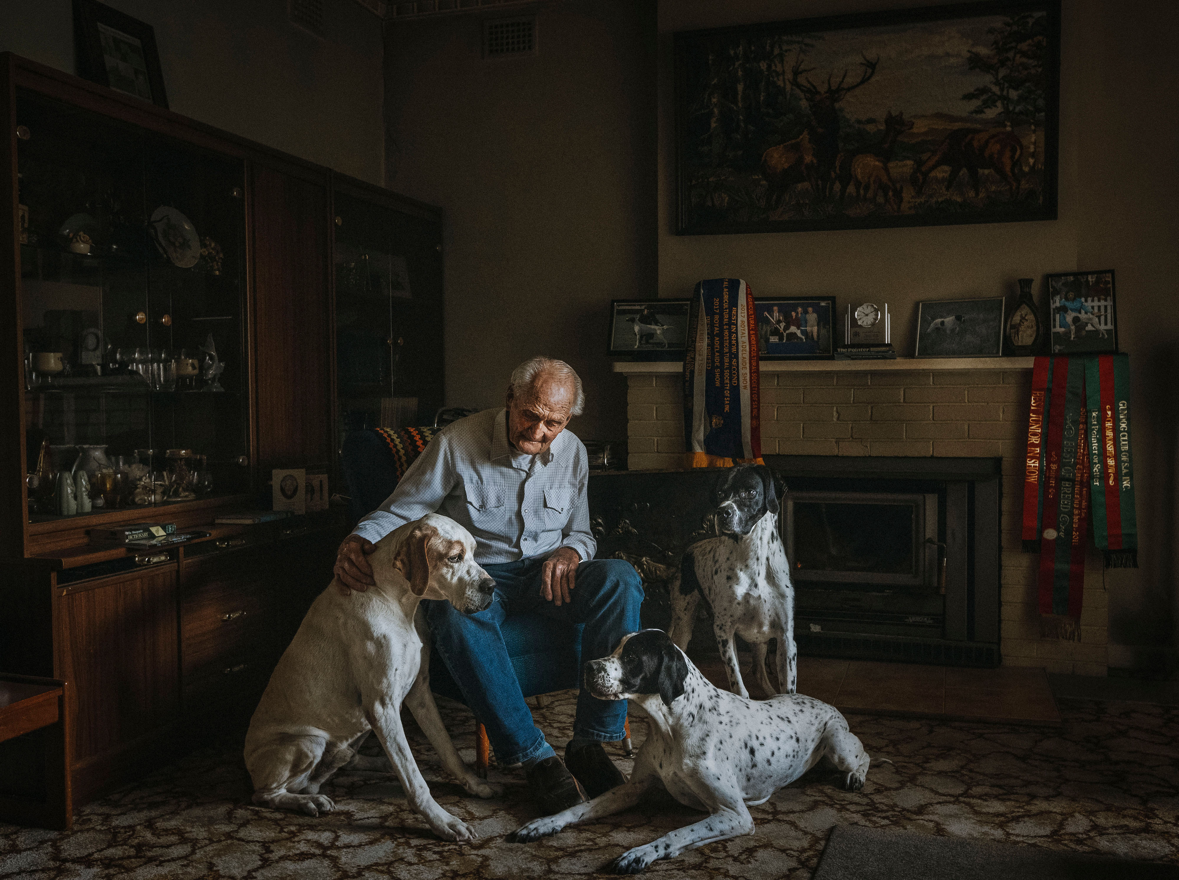 Legacy of Turnix 2025 by photographer Alicia Adamopoulos of Adelaide. “Photographed in his loungeroom in Hahndorf, South Australia, on 16 May 2025, 96- year-oldDes Delaine sits quietly with the last three Pointers of his beloved Turnix line. Surrounded bytrophies and memories, the image reveals the deep, unspoken bond between a man and the dogswho have been his lifelong companions. A breeder and judge devoted to the Pointer sincechildhood, Des now faces the end of his breeding journey, capturing a moment of love, loyalty, andshared history.”