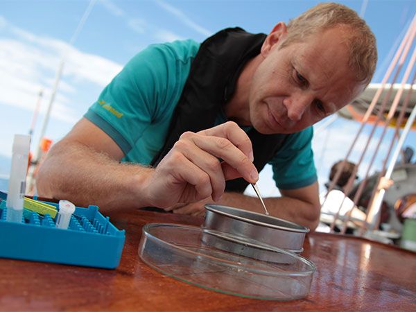 Jean-Fran&ccedil;ois Ghiglione (CNRS), scientific director of the mission microplastics, 2019 &copy; No&eacute;lie Pansiot / Fondation Tara Oc&eacute;an