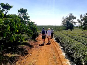 Francis Joyon visited tea producers in Vietnam