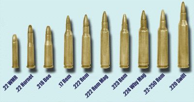 The .220 Swift (far right) is the undisputed king of varmint .22 centrefires.