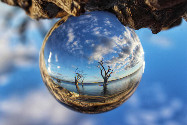 Donna Sorenson, Through the looking glass (2017 Entrant - Photo of the Year).