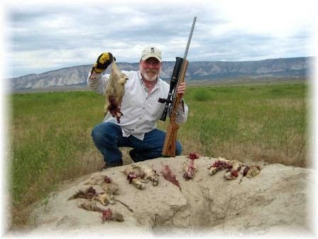 The .204 Ruger is a favourite on prarie dogs in the USA.