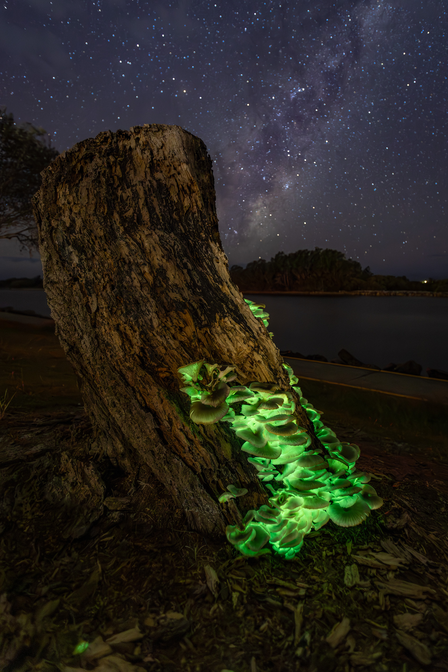 Raul Orcajo, Ghosts under the stars