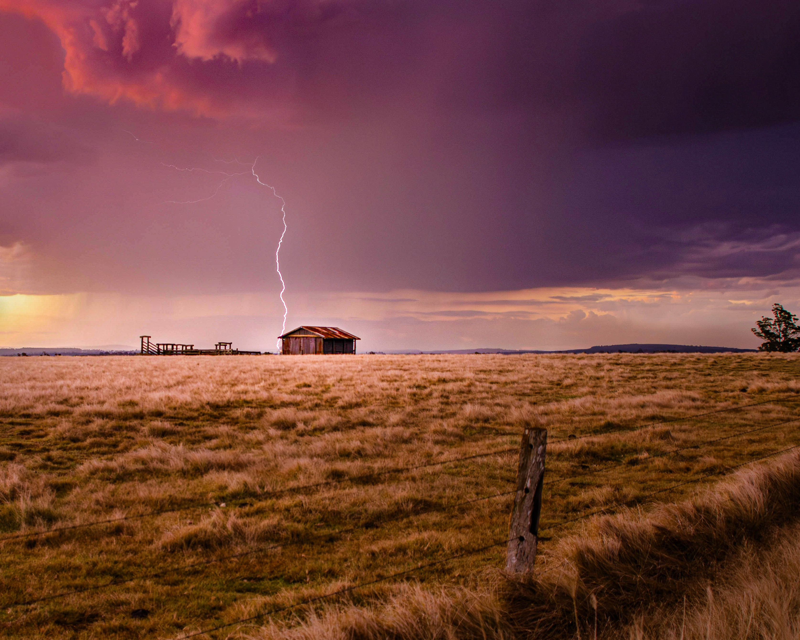 Youth winner, 10-13, Lightning Storm, Asher Barrie