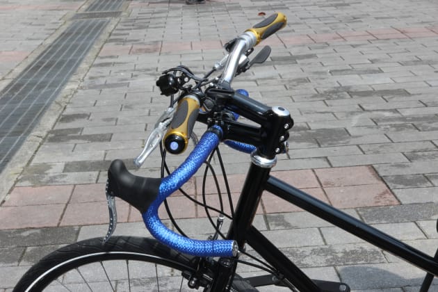 Yes, they&rsquo;re being deadly serious. As the company rep on the booth earnestly explained to me, &lsquo;This bike lets you do both styles of riding without having to change bikes.&rsquo;