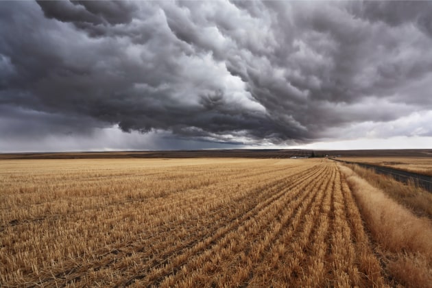 A poor barley crop in North America and severe drought in Canada saw storm clouds roll in over United Malt's profit guidance for FY22. 
(Image source: Getty Images)