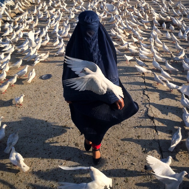 © Ako Salemi, Nominated German Peace Award for Photography 2021, Afghanistan: The Colour Awakens