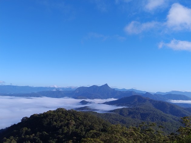 Wollumbin (Mt Warning).