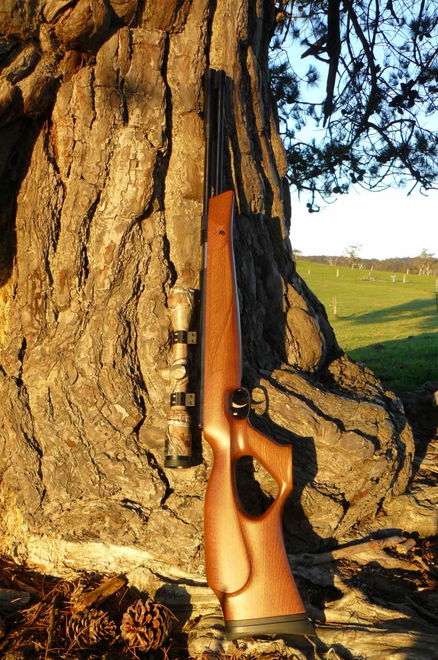 The Weihrauch HW97KT is a well made, high quality rifle, which is a little on the heavy sid.