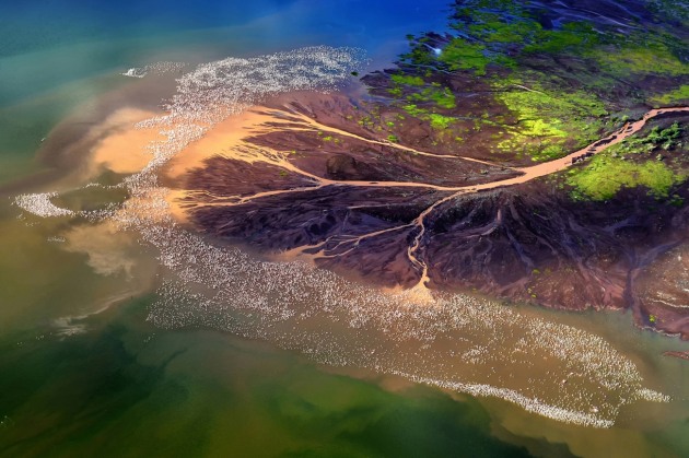 © Franco Cappellari. Over a million flamingos, Kenya.