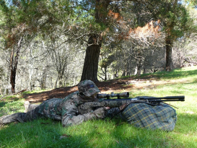 Camouflage can be most beneficial at cloase range on ware game.
