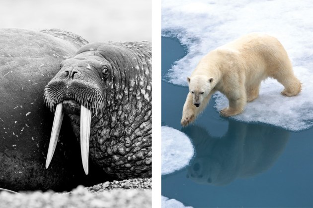 Northwest Passage by Vripack.