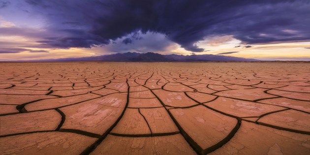 © Peter Coskun