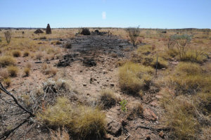 The crash site of R22 VH-YPC. (WA Police)