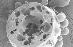 An EPT particle showing the revolutionary porous structure, which leads to rapid solvent diffusion and rehydration properties.