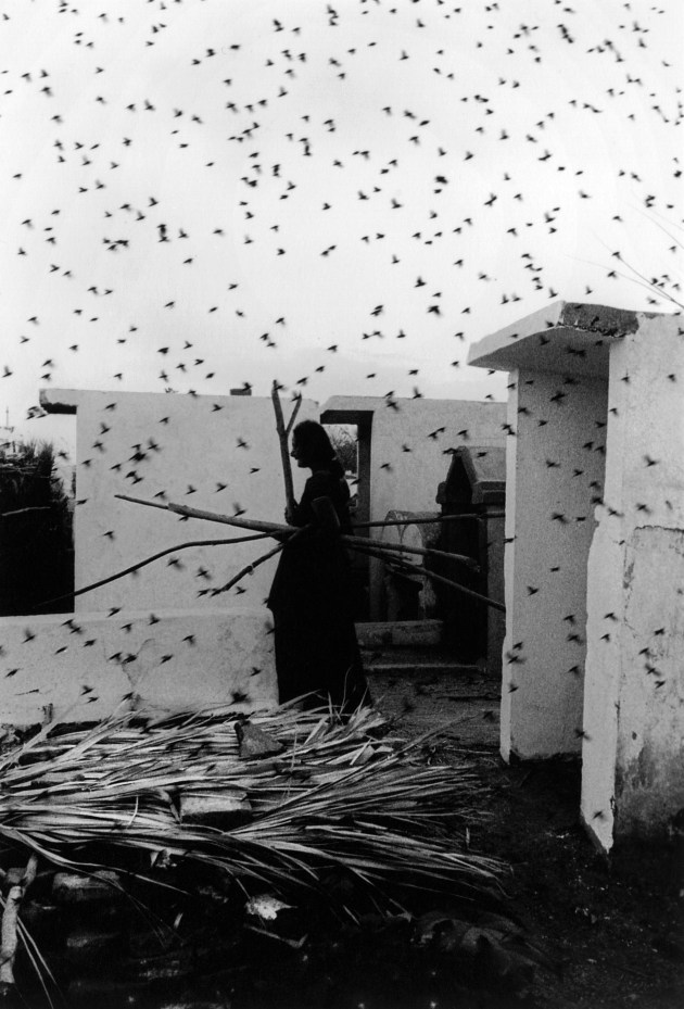 © Graciela Iturbide