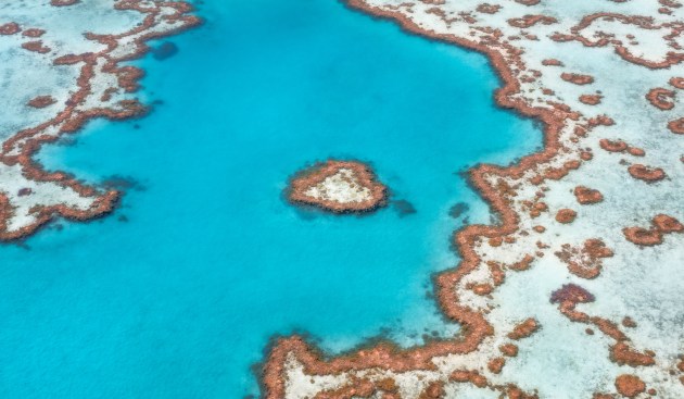 Great Barrier Reef © Mitch Green