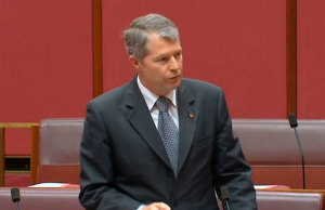 Senator David Fawcett addresses the senate on aviation matters on 4 March 2014. (still from video)