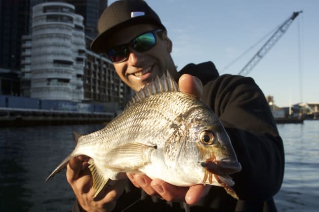You'd be hard pressed to find heavier urbanisation than Sydney's Barangaroo where this nice fish was taken at first light.