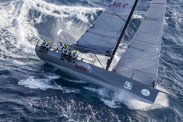 rolex ocean race