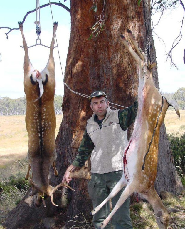 If terrain permits vehicular access, the whole carcass can be taken back to camp. Hung in the shade, the venison can cool slowly and be butchered at leisure over the next couple of days.