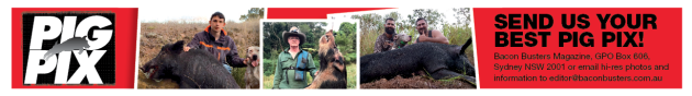 Pig Pix strip